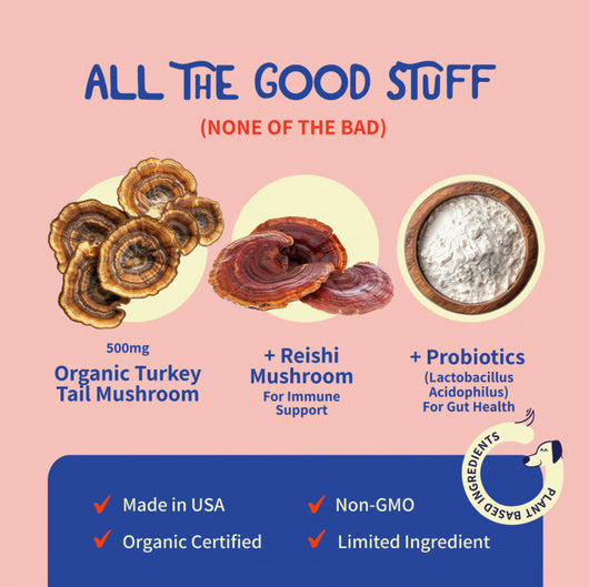 Buddy Guard Complete Immune & Wellness Support For Dogs