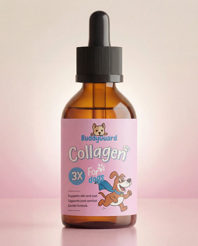 BuddyGuard: The Liquid Collagen That Fixes Your Dog From The Inside Out