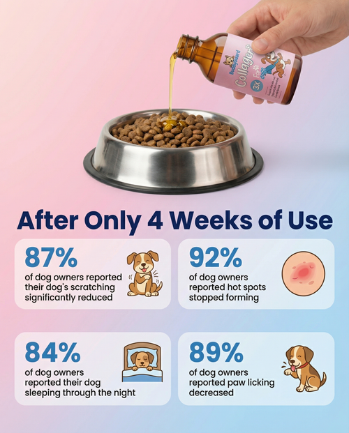 BuddyGuard: The Liquid Collagen That Fixes Your Dog From The Inside Out