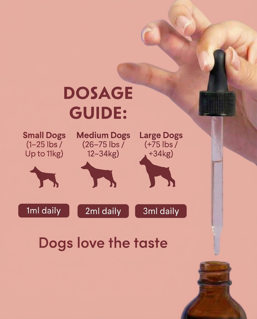 BuddyGuard: The Liquid Collagen That Fixes Your Dog From The Inside Out